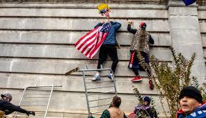 Why D.C. Rioters Wore Costumes to the Capitol - The New York Times